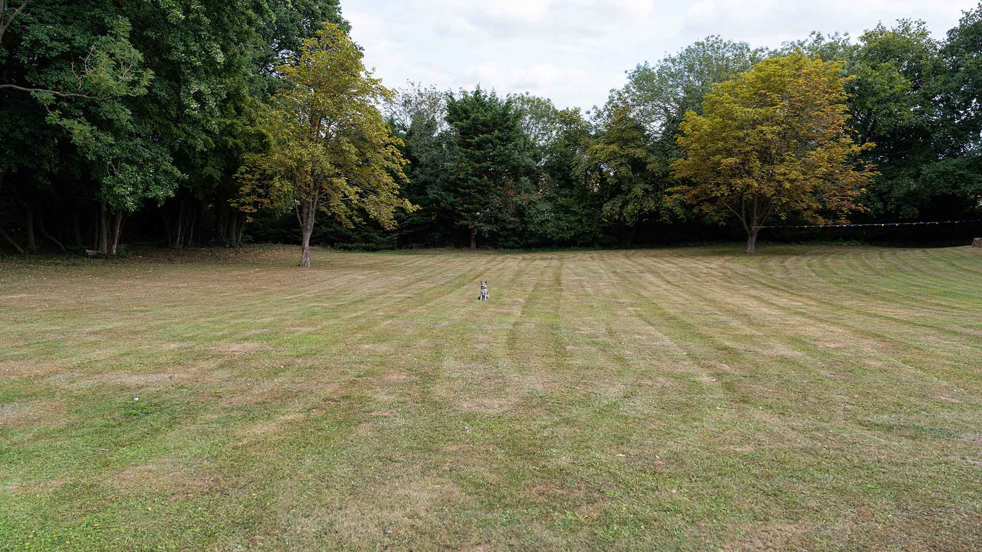 Summer_Fair_20_2000px Summer Fair 2025 Grounds