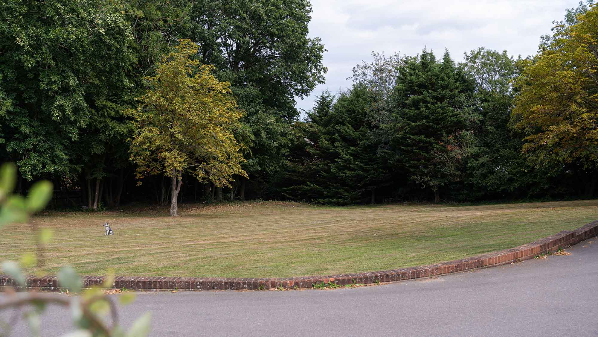 Summer_Fair_26_2000px Summer Fair 2025 Grounds