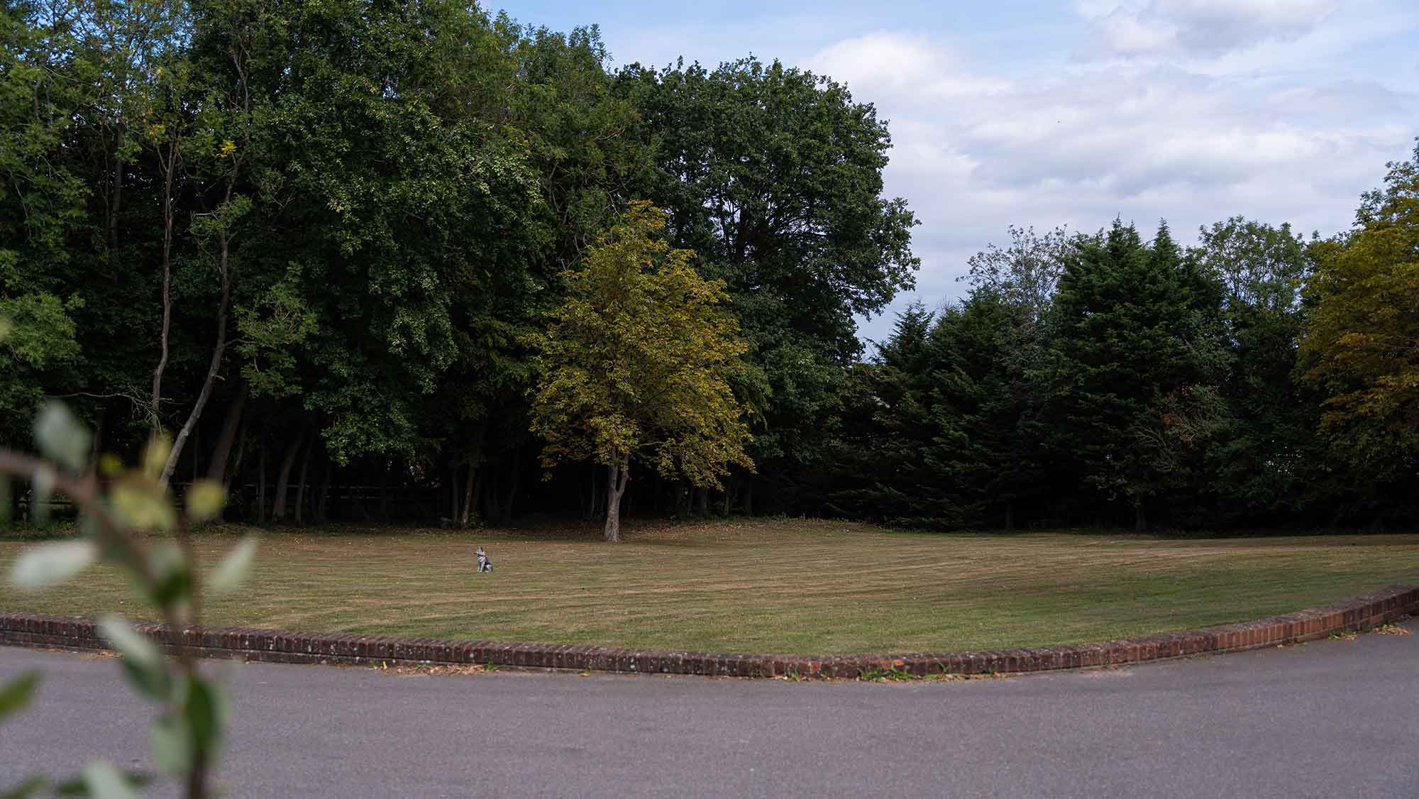 Summer_Fair_27_2000px Summer Fair 2025 Grounds